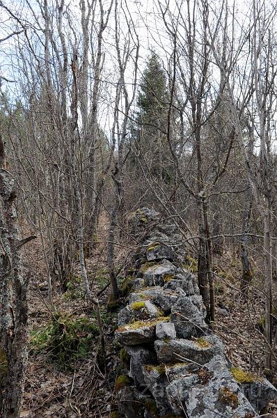 dsc_7372.jpg - Каменный забор в лесу